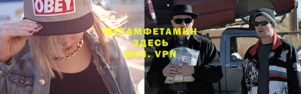 прущие грибы Няндома