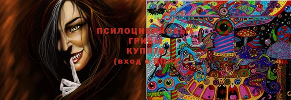 трава Осташков