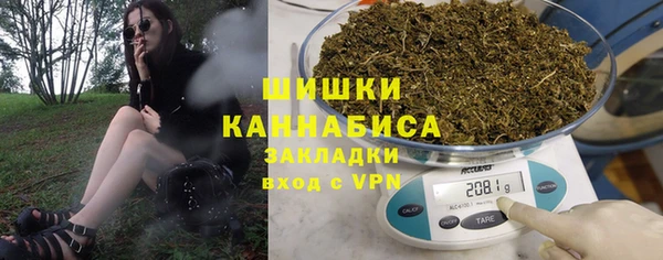 ГАЛЛЮЦИНОГЕННЫЕ ГРИБЫ Осинники