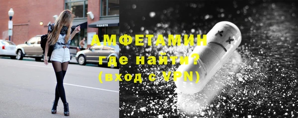ГАЛЛЮЦИНОГЕННЫЕ ГРИБЫ Осинники