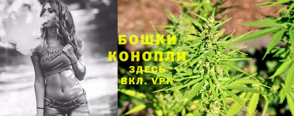 ГАЛЛЮЦИНОГЕННЫЕ ГРИБЫ Осинники