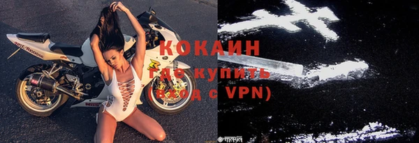 ГАЛЛЮЦИНОГЕННЫЕ ГРИБЫ Осинники